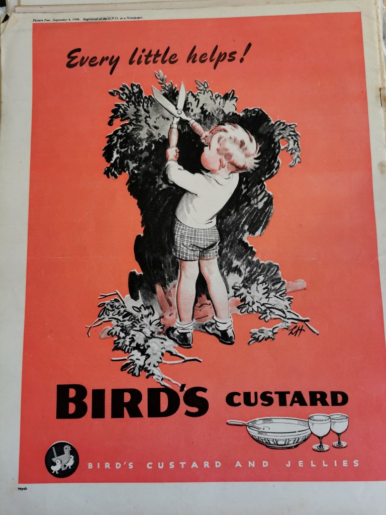 Images from 2 Birds's Custard adveerts from the 1940s and 1950s