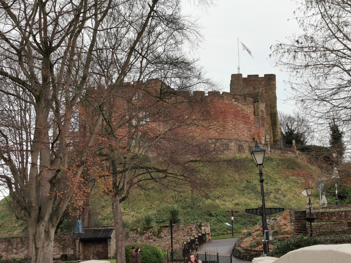 The Saxon Settlement of Tamworth in the 800s